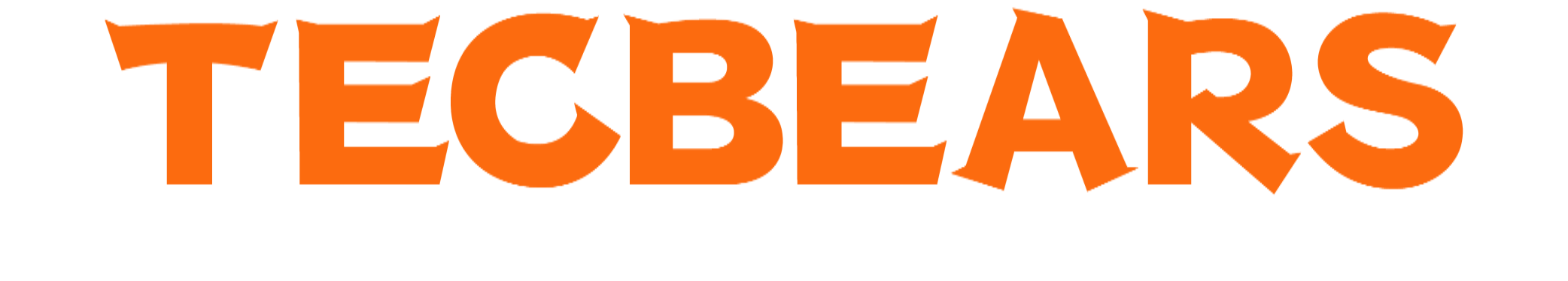 Tecbears 3D Store