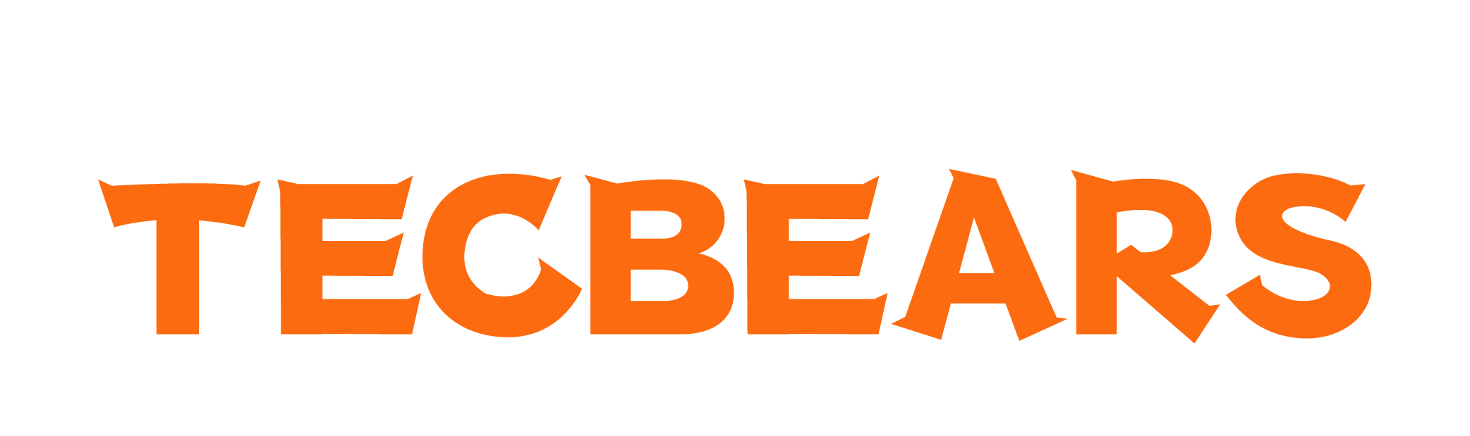 Tecbears 3D Store